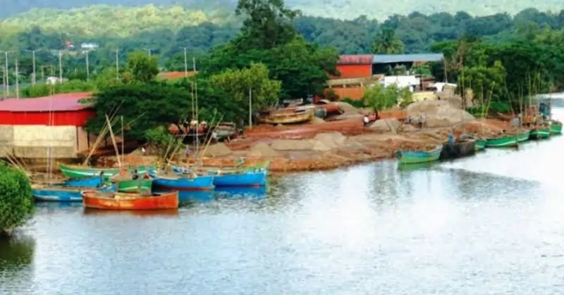 River Fishing in Mandovi & Zuari